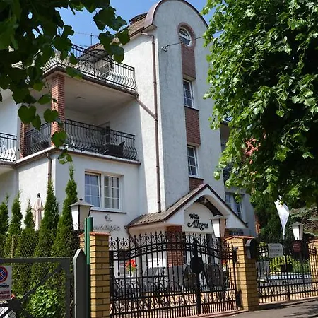 Allegra مينززدرويه