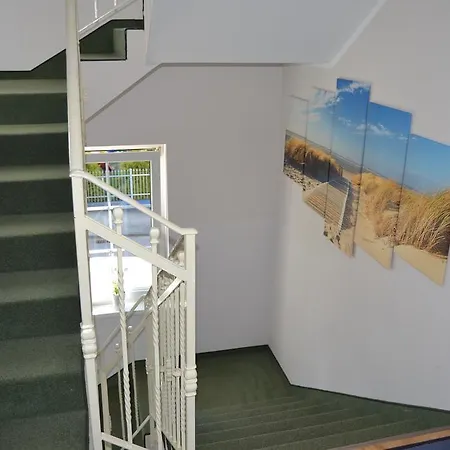 Allegra * مينززدرويه