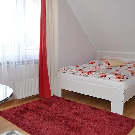 Allegra مينززدرويه