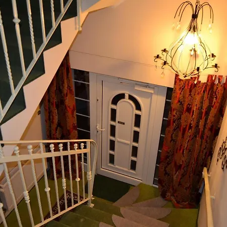 Allegra * مينززدرويه